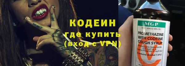 спиды Лиски