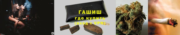 спиды Лиски