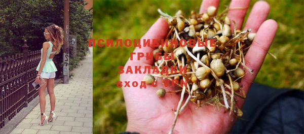 спиды Лиски