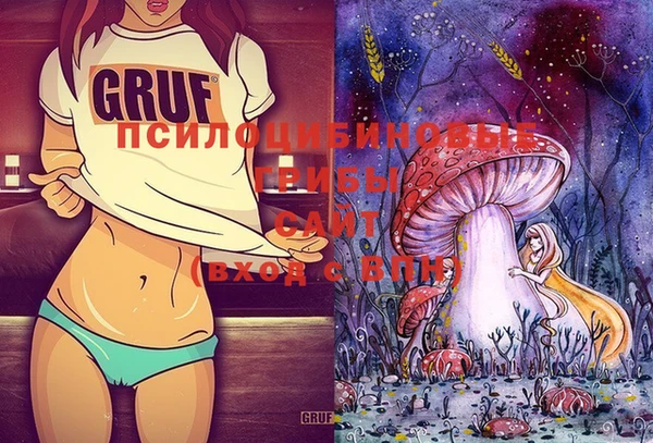 спиды Лиски