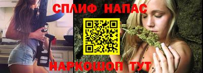 прущие грибы Балаково