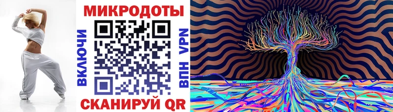 Галлюциногенные грибы Psilocybe Карабулак