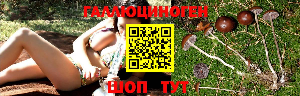 Галлюциногенные грибы MAGIC MUSHROOMS  Карабулак 